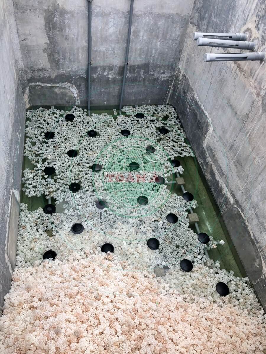 Hệ thống xử lý nước thải ngành chế biến thực phẩm