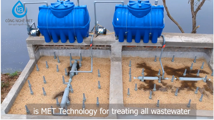 Xử lý nước thải ao nuôi cá bằng công nghệ MET
