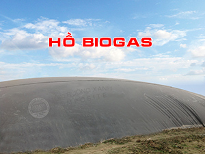 Biogas bạt nhựa HDPE 