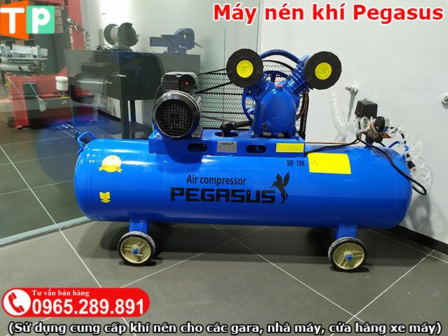 Máy nén khí giá rẻ Pegasus Việt Nam