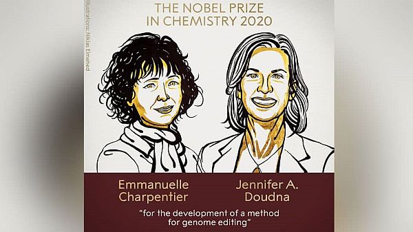 Giải Nobel hóa học 2020 vinh danh công nghệ chỉnh sửa gen Crispr/ Cas9