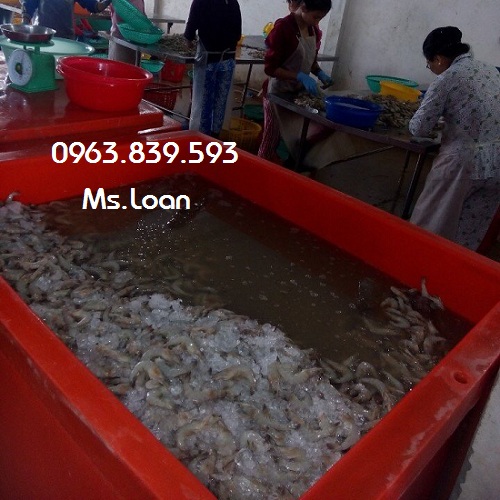 Thùng đá Thái Lan 800 lít trữ hải sản