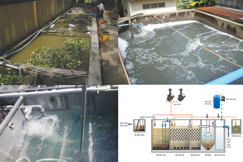 Dịch vụ xử lý nước thải sinh hoạt ở Hải Phòng